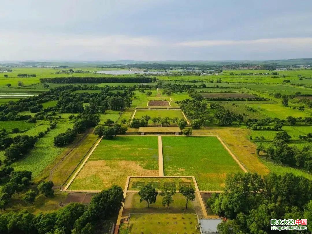 响水大米网 响水大米网