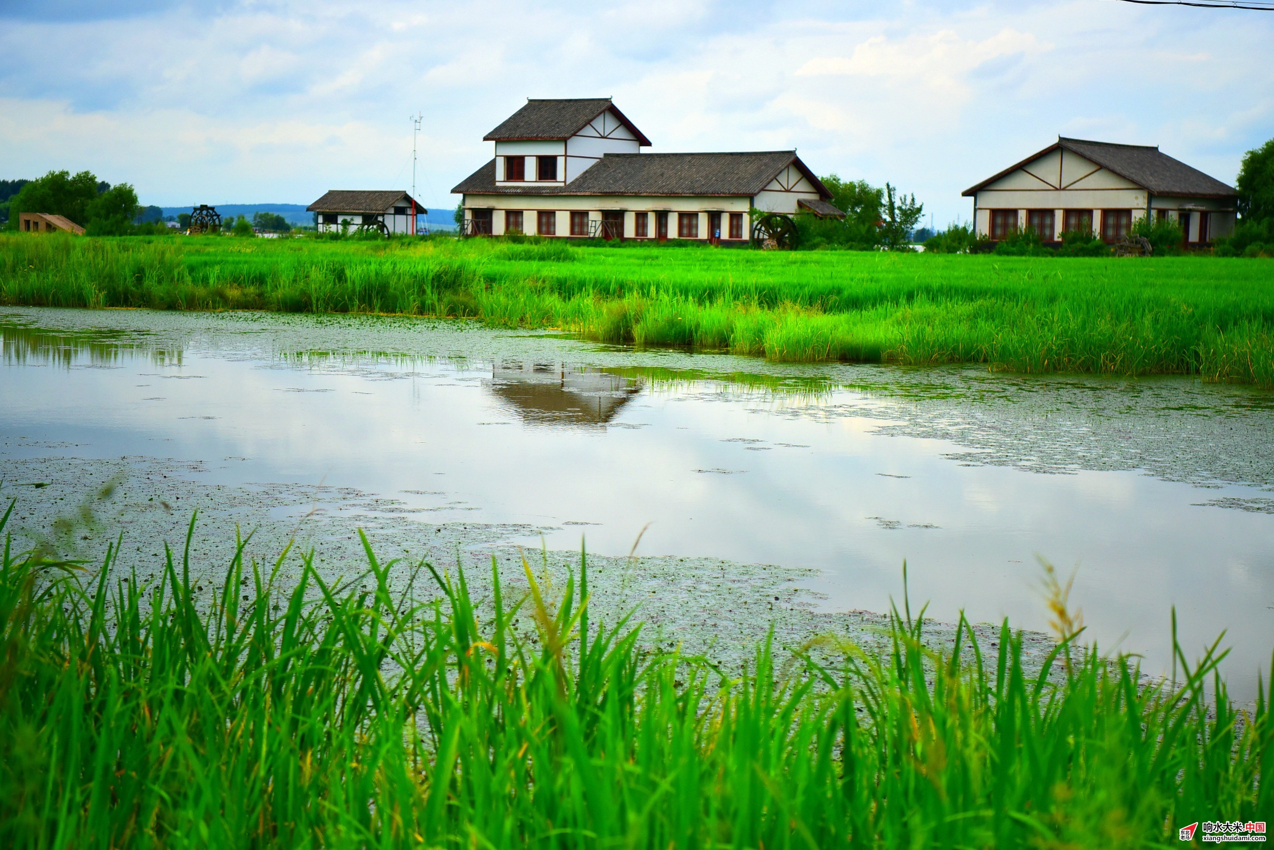 1761617082262010.jpeg 3b3079dc833b408188affc70ff087e7f.jpeg