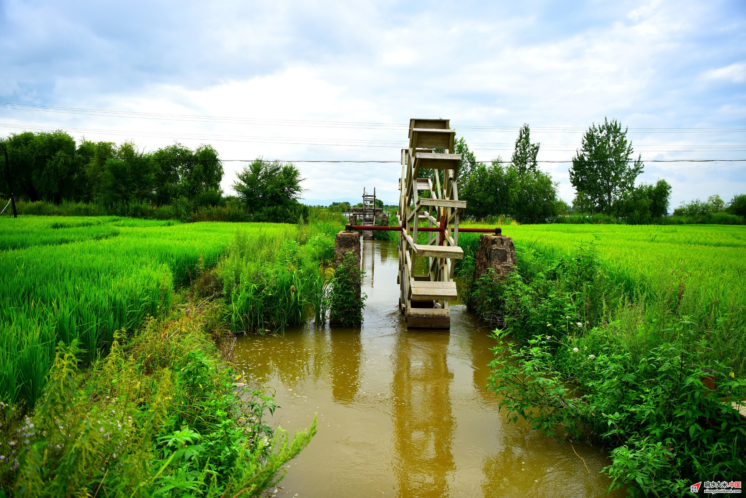 1761617119854766.jpeg 4b156c9d5b4c471c98b931fa85adc083.jpeg