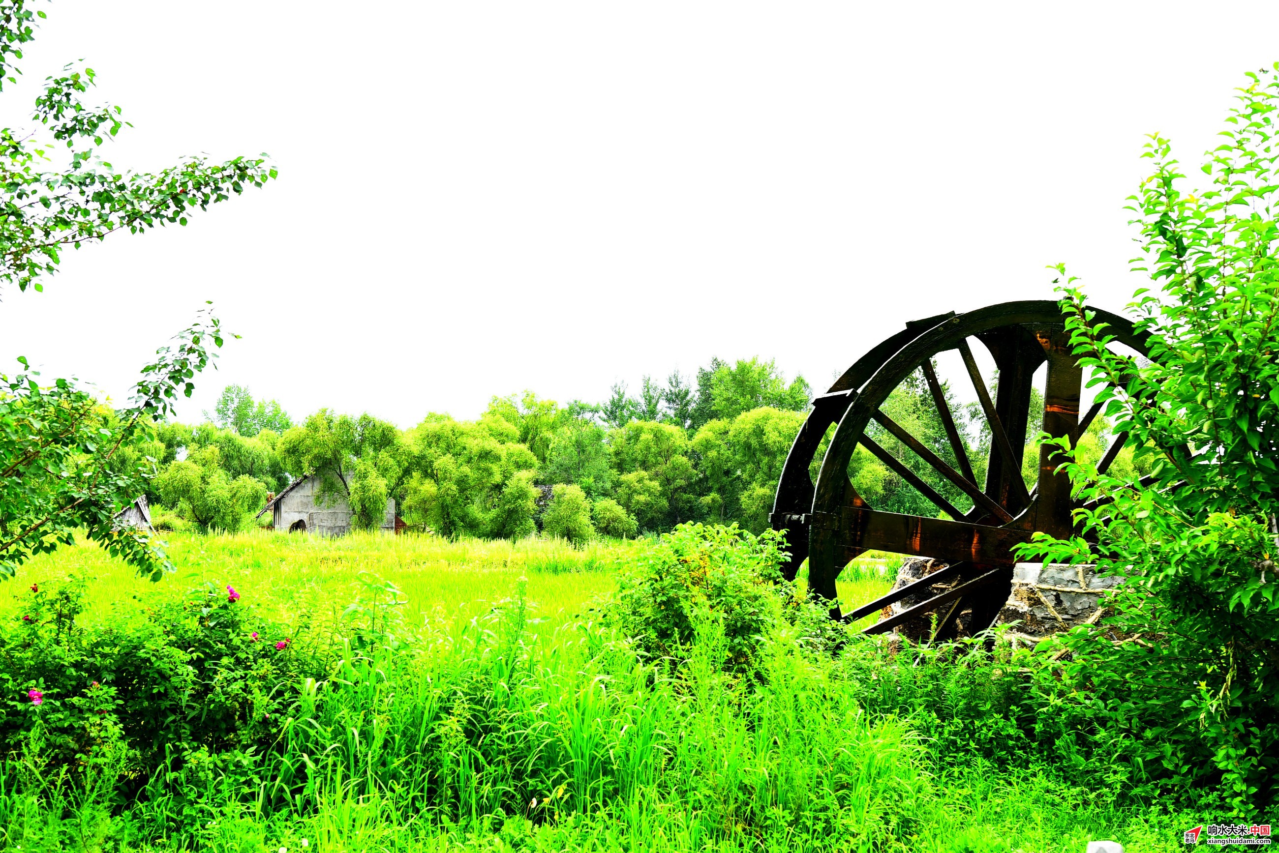 1761617137542055.jpeg d0401fcb11f040a8aeb441a9fec4a812.jpeg