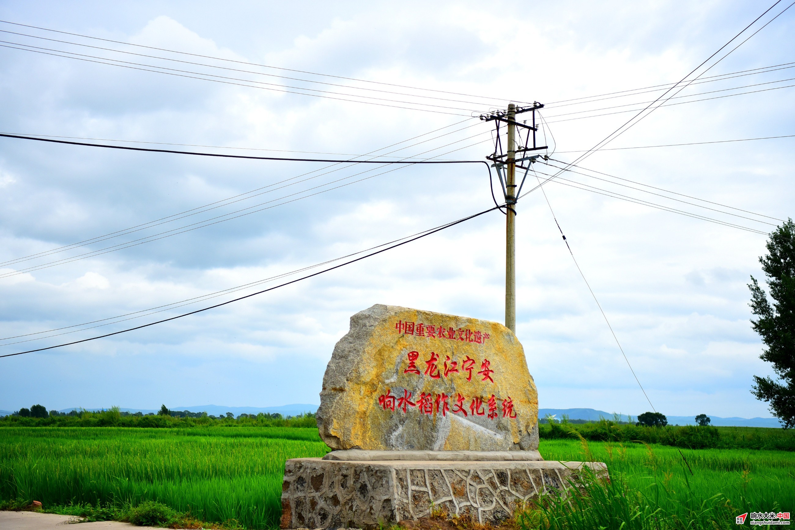 1761617152790171.jpeg b50eda36064b46929c54f7b09f90b146.jpeg