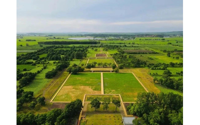 南部地区诚邀加盟：响水大米，开启财富新征程