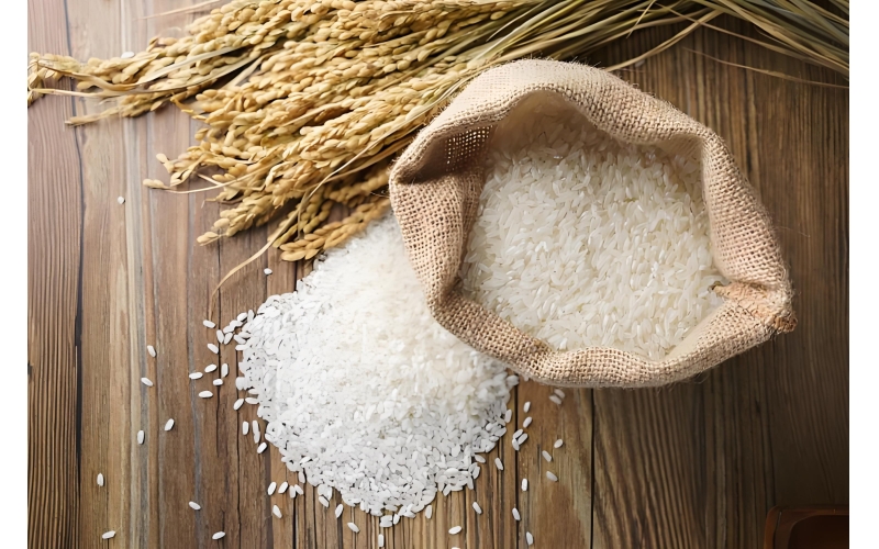 探秘响水大米：自然与历史交织的米中瑰宝