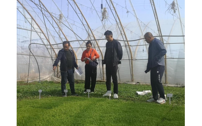 农业农村部：把培育壮大农业科技领军企业放在突出位置